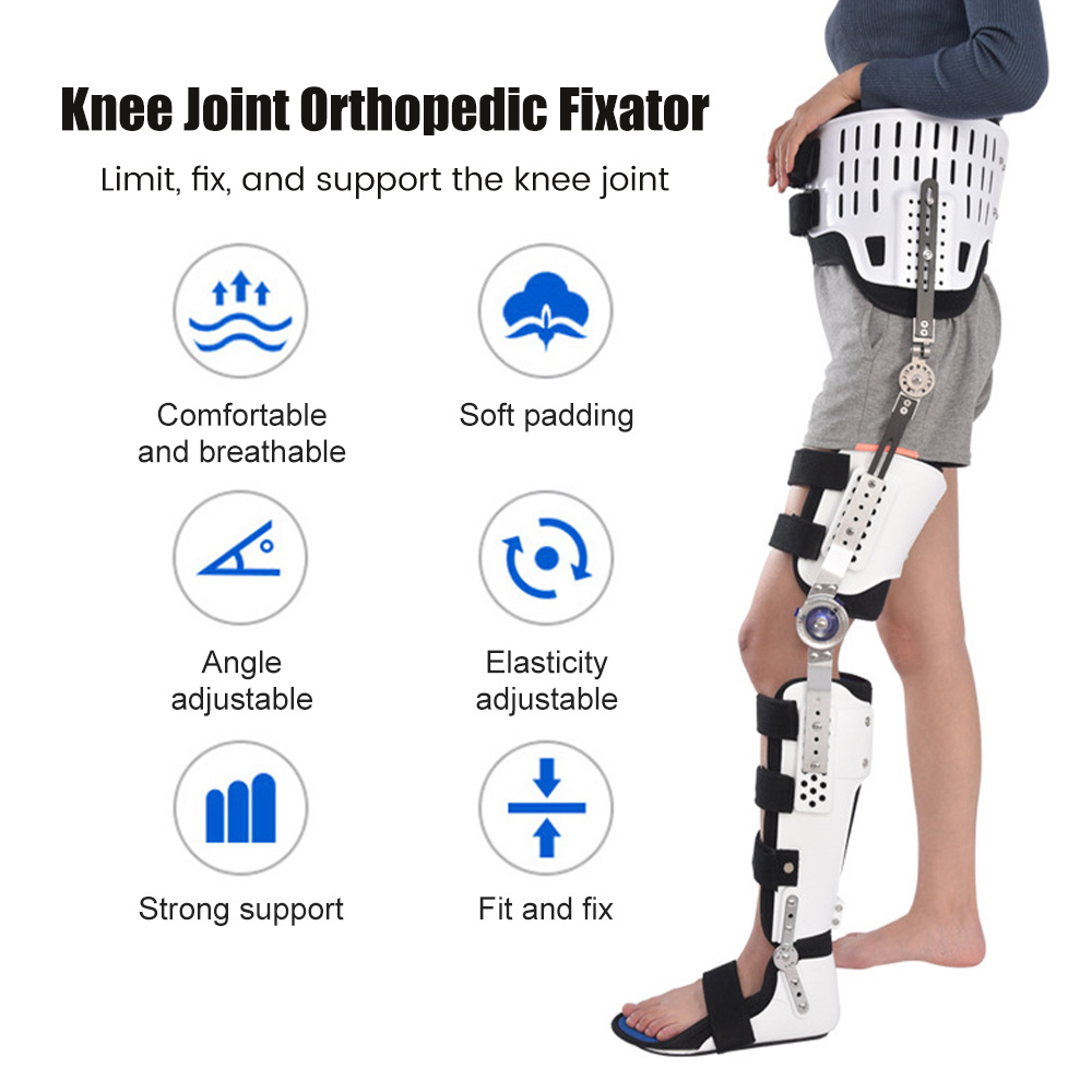 Hip Sacrum Waist Knee Ankle Fo - Ankle Brace Support ulasan dan harga
