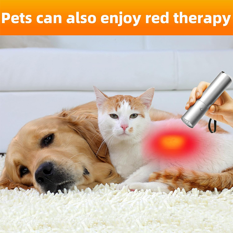 Blue Red Light Therapy Device  - Acne Light Therapy Pen ulasan dan harga